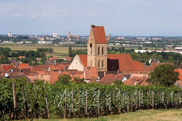 06-ete-Vue d'Eguisheim - C.P. Mairie Eguisheim